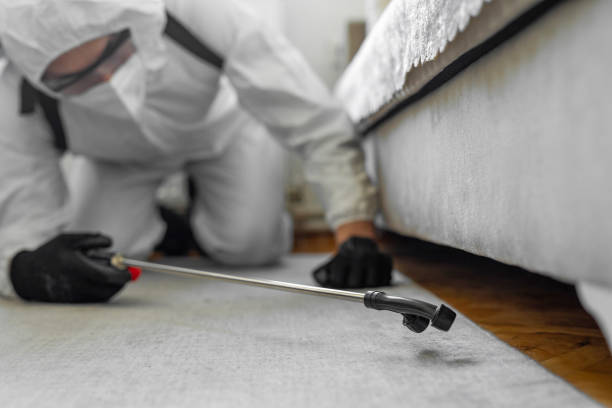 Professional Emergency Pest Control technician working in Steelton, PA